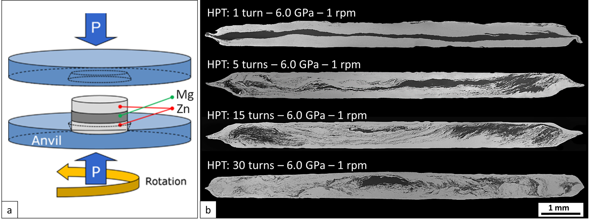 Figure 1: (a) Experimental set up of the HPT processing conducted in the Zn-Mg samples, (b) cross-sections of the Zn-Mg HPT-processed disks after 1, 5, 15 and 30 turns.