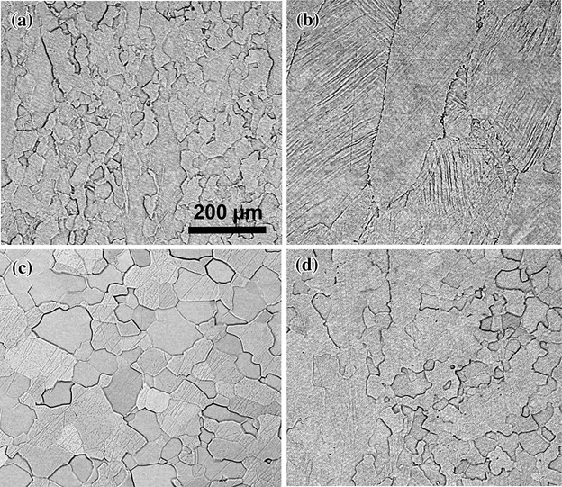 Figure 1: Representative BSE SEM photomicrographs of the cross section of the (a) TC, (b) TCA, (c) TCF, and (d) TCFA alloys.