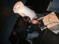 Darci trimming right antenna