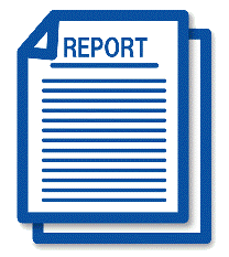 Final Report