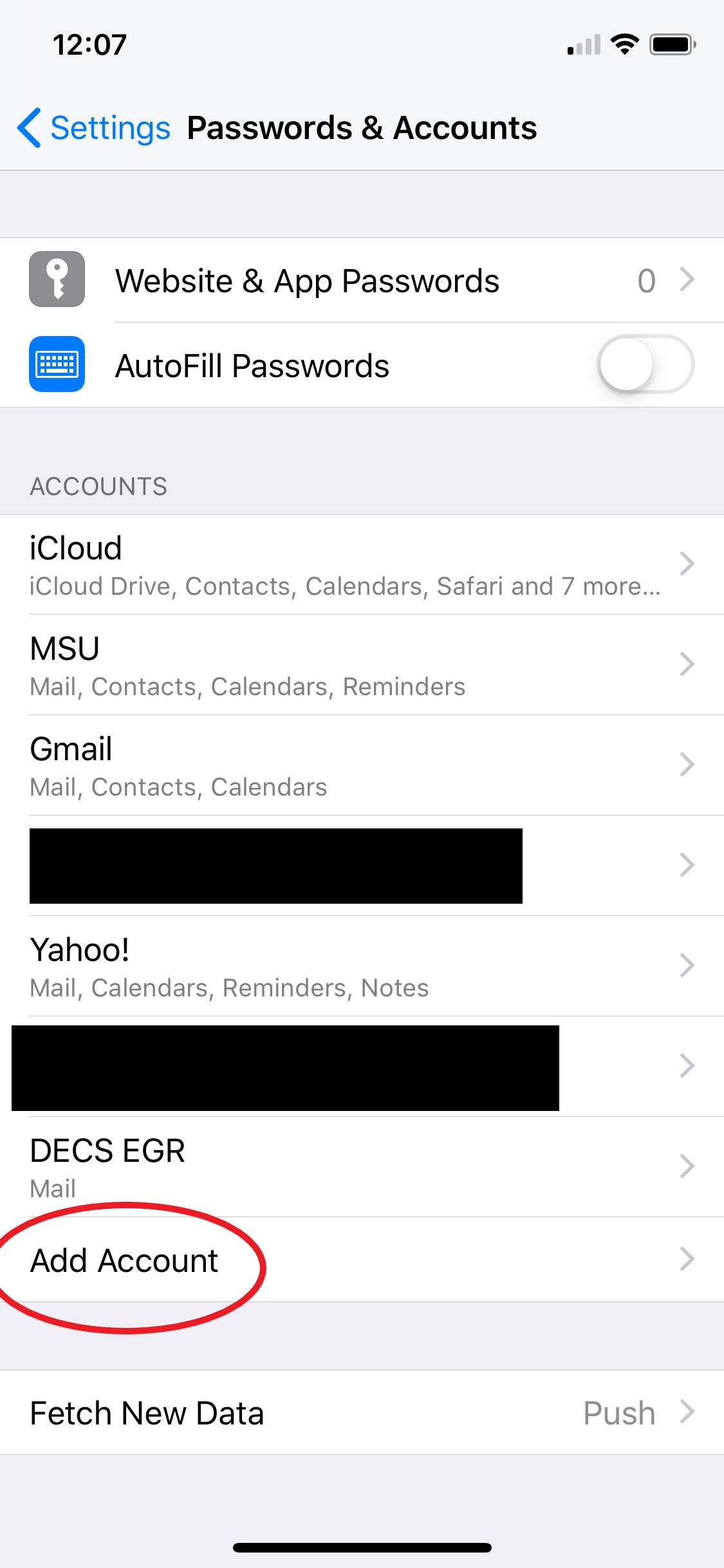 Passwords & Accounts settings page showing Add Account button highlighted in red oval at bottom