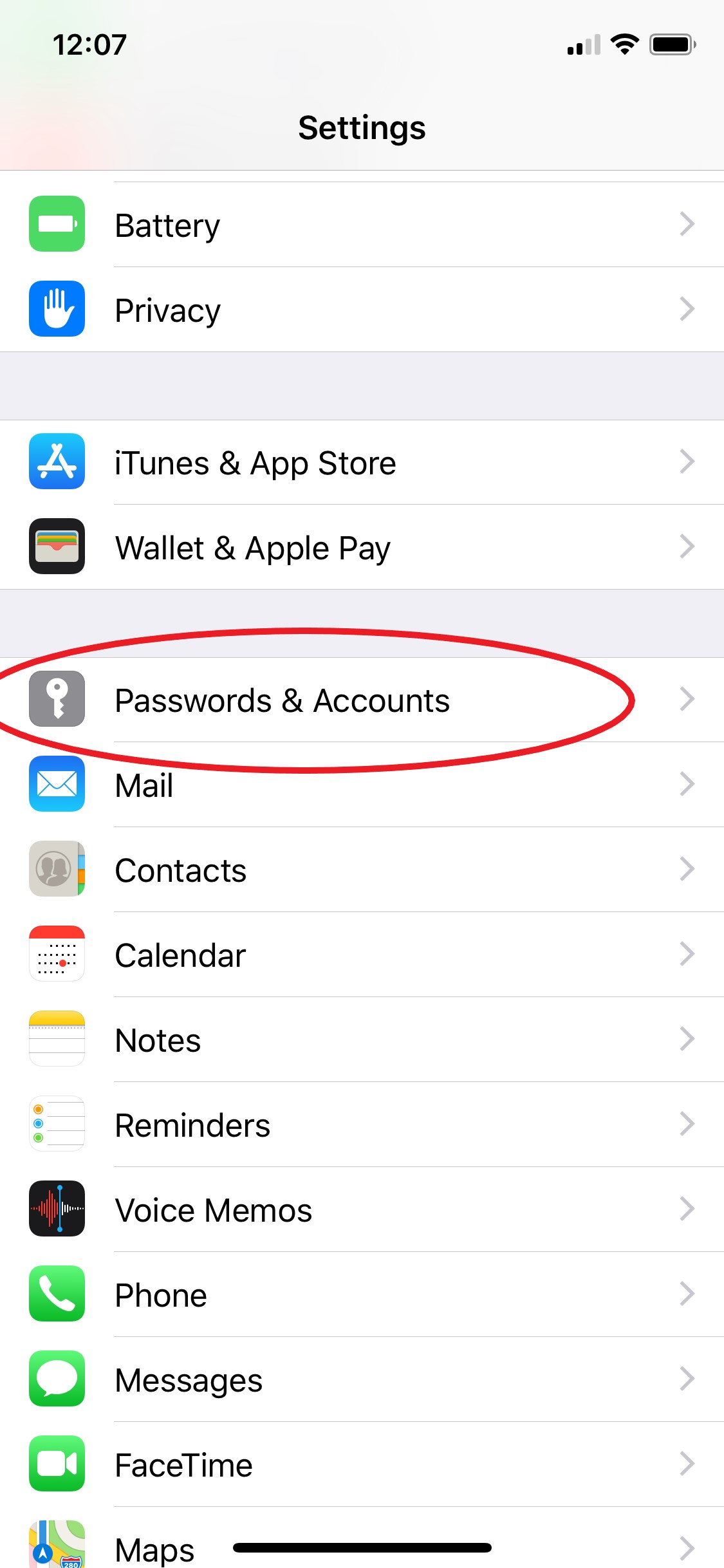 iOS Settings menu list with Passwords & Accounts highlighted with red oval