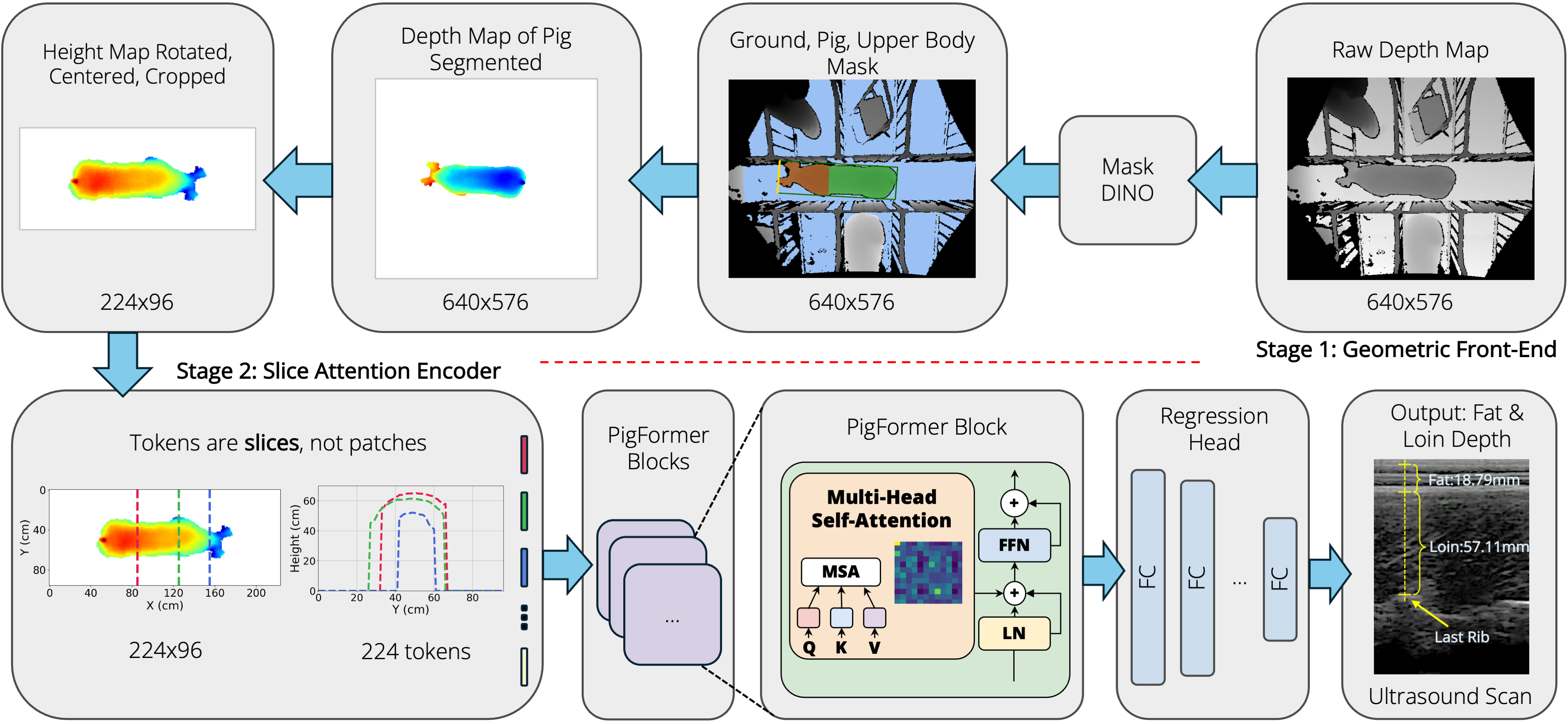 PigFormer two-stage pipeline: depth frame to segmented height map to slice-attention encoder predicting backfat, loin, and tissue thickness
