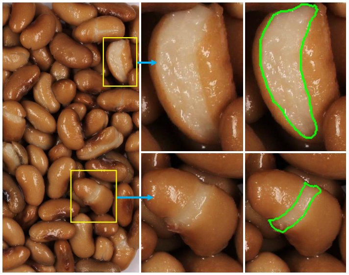 Dry beans with yellow bounding boxes highlighting splits and green contour overlay of segmented split regions