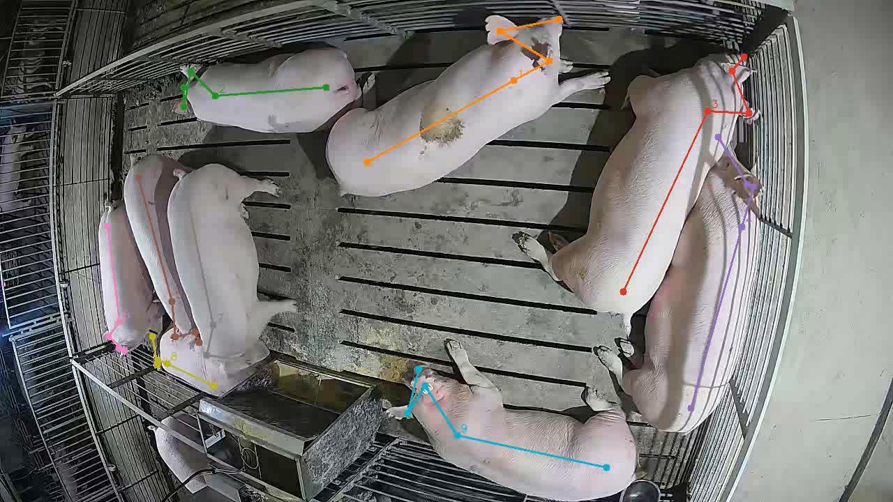 Pig tracking with keypoint-based pose estimation